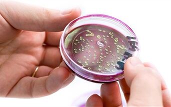 Prostat salgısındaki bakteriler